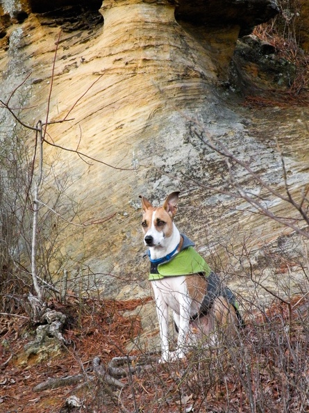 0104_Early January on Sheltowee Trace_ Red River Gorge - 09.jpg